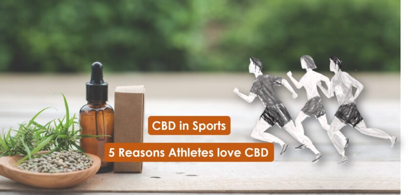 CBD in Sports_ why athletes love cbd