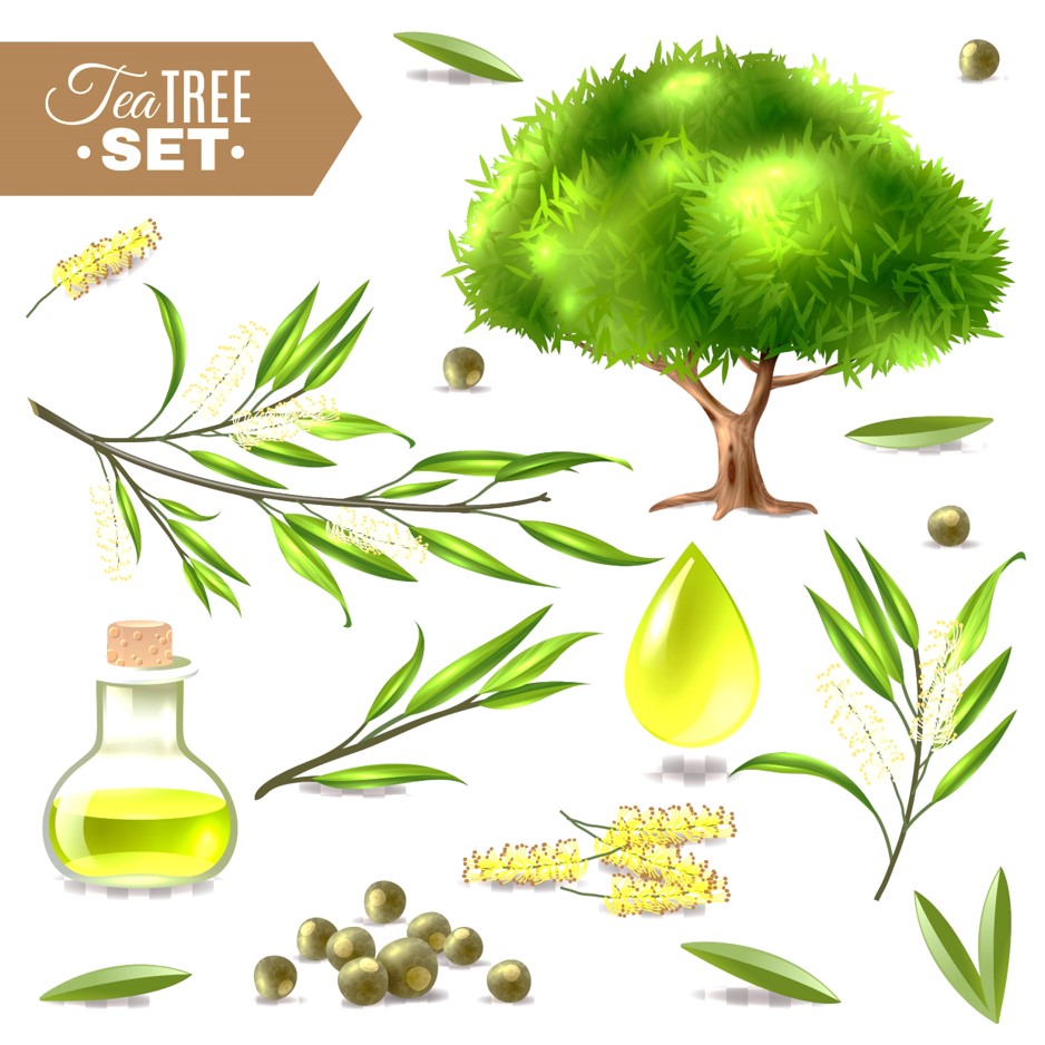 tea tree oil to remove mole on skin