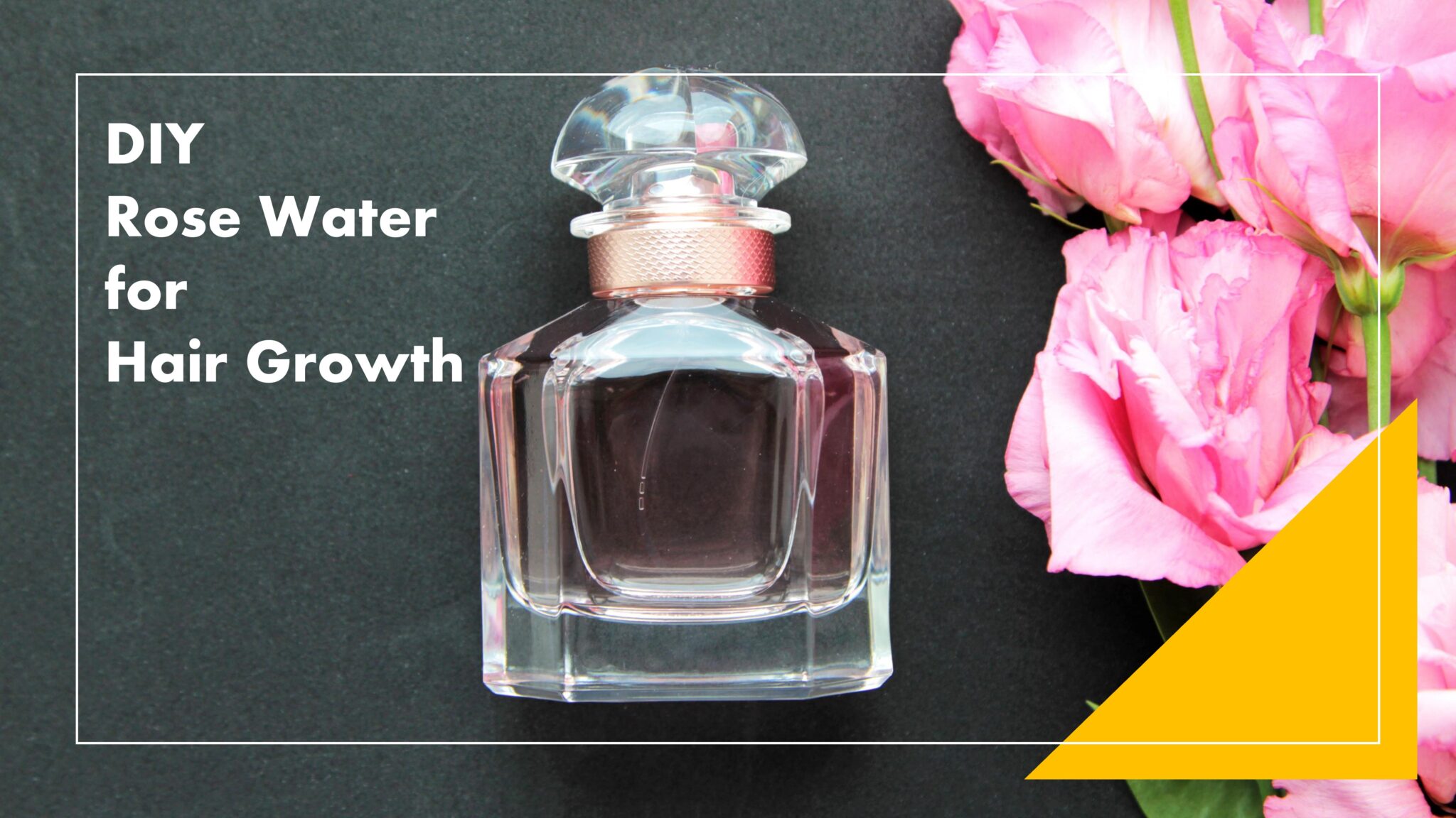 Rose Water and Aloe Vera for Hair Growth Prevent Dandruff and Hair loss