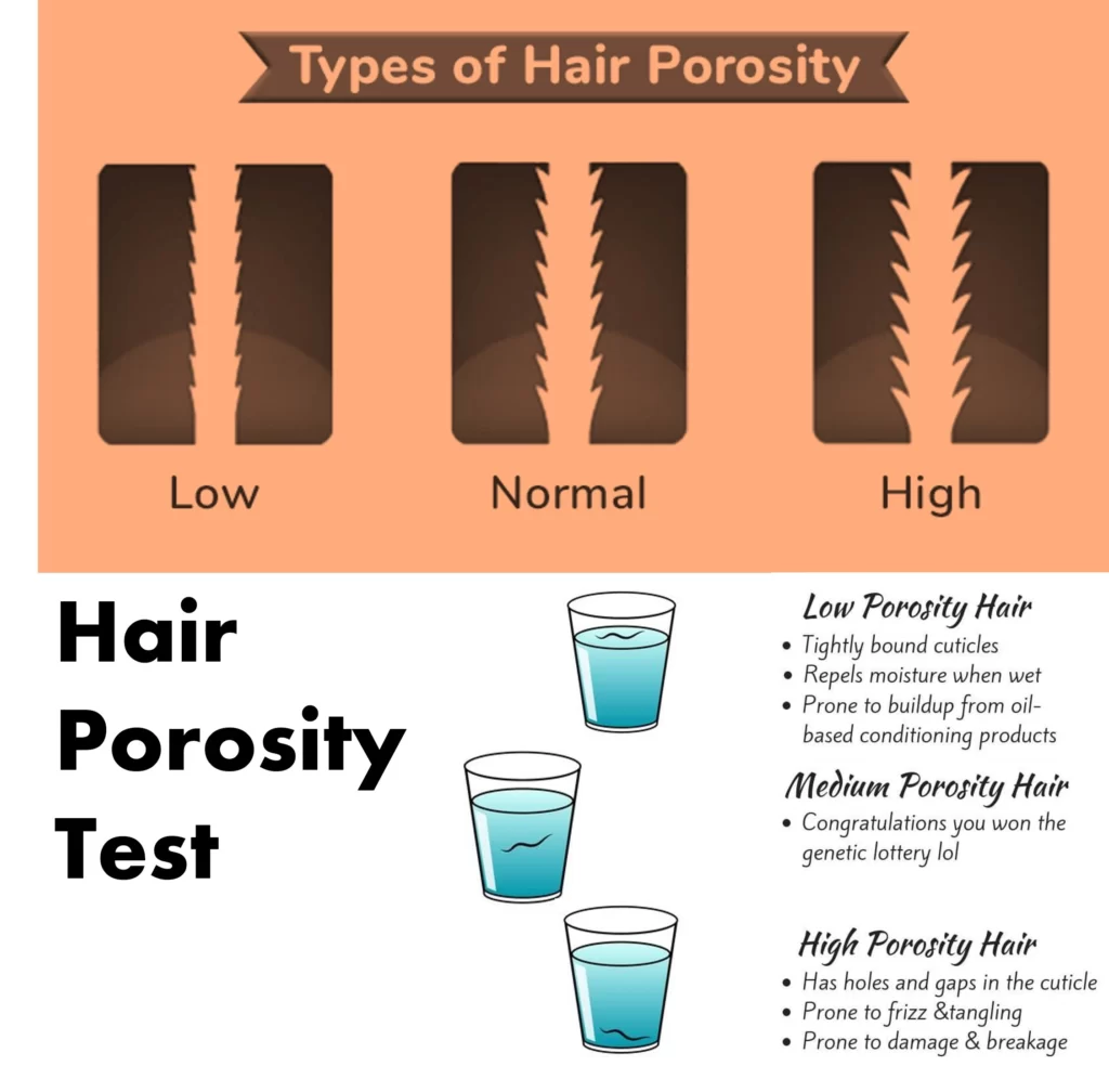 hair-porosity-test-at-home-Low Porosity , Medium, and High Porosity Hair