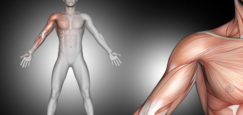 Trestolone The Ultimate Guide to This Potent Steroid and How to Use It Safely (1)