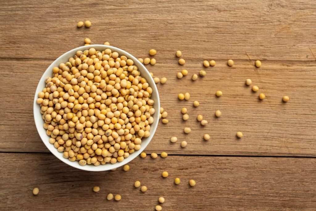 soybean protein is good for health